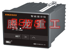 溫度表、數(shù)字顯示儀、濕度表
